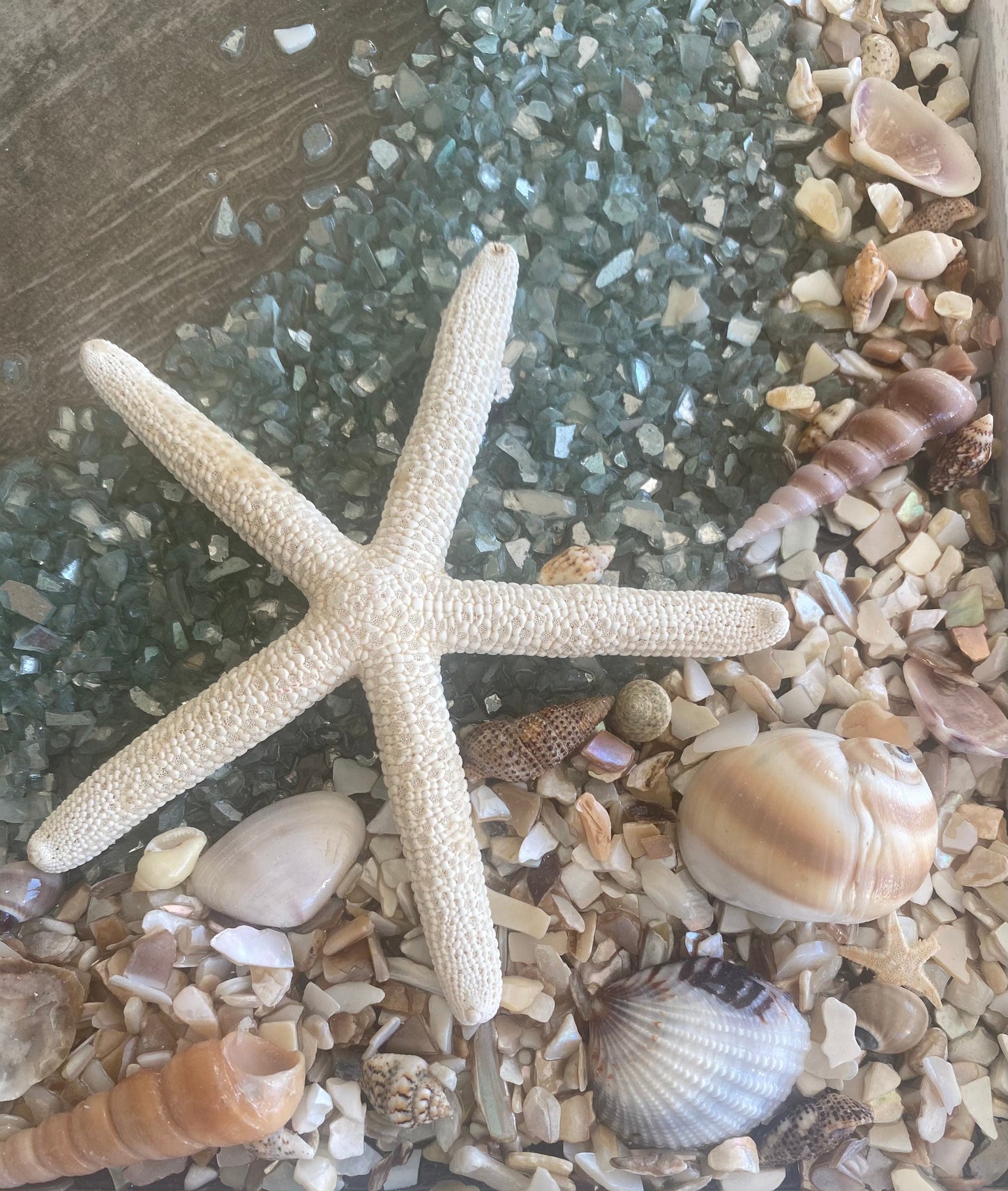 WAVE Crushed Glass/Shell Framed Art