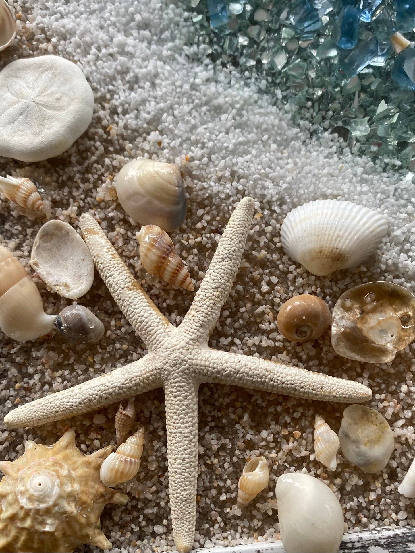 BEACH SCENE with STARFISH crushed glass Framed Art