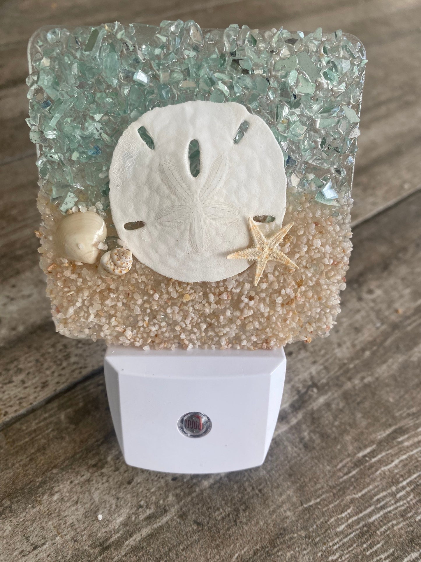 COASTAL Night Light- SAND DOLLAR with seashells