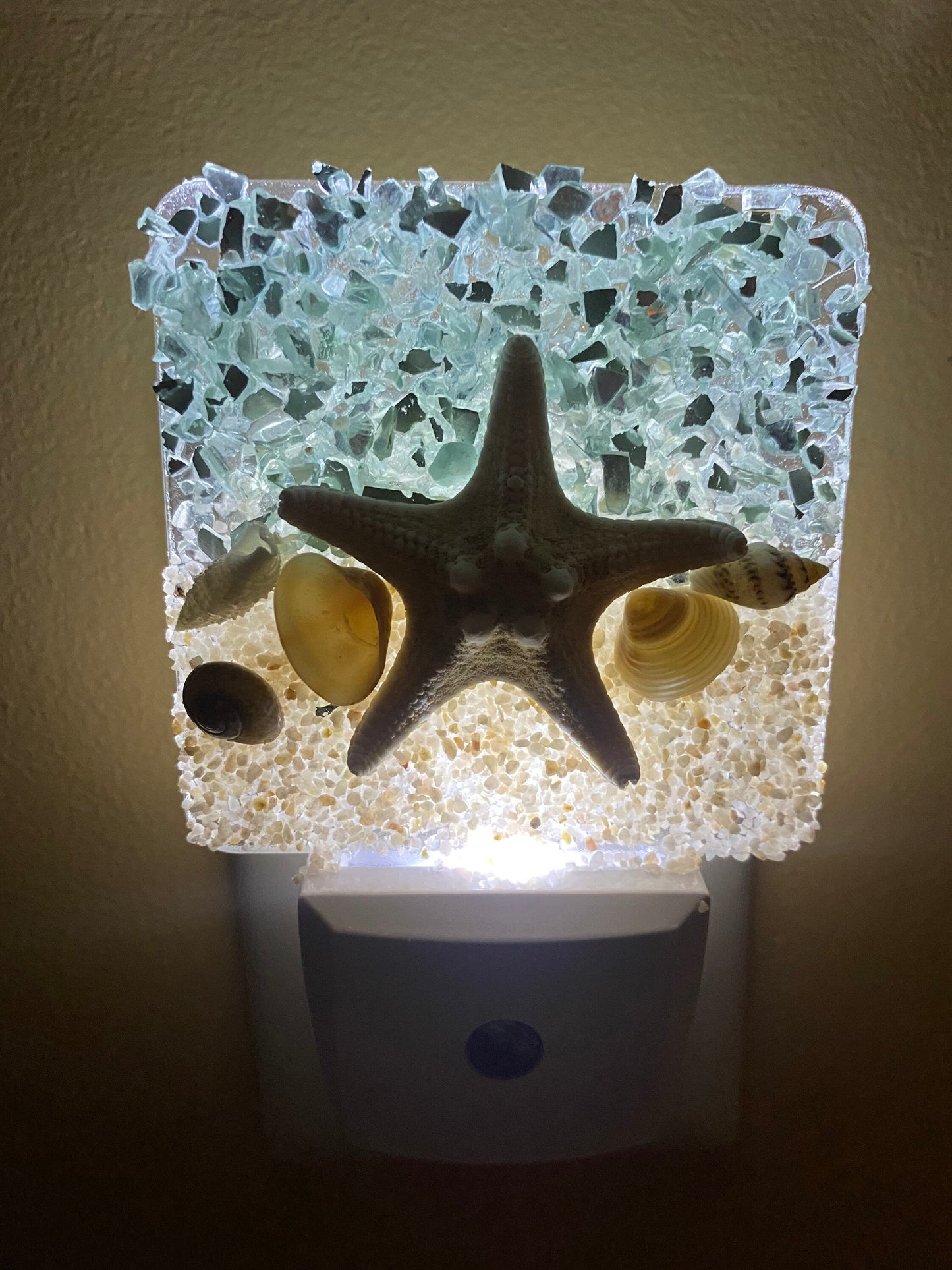 COASTAL Night Light STARFISH with seashells