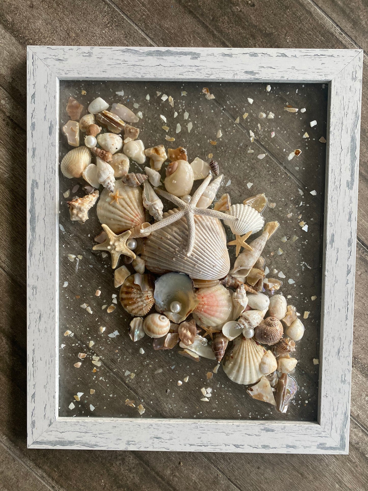 FRAMED art  -SEASHELL & STARFISH