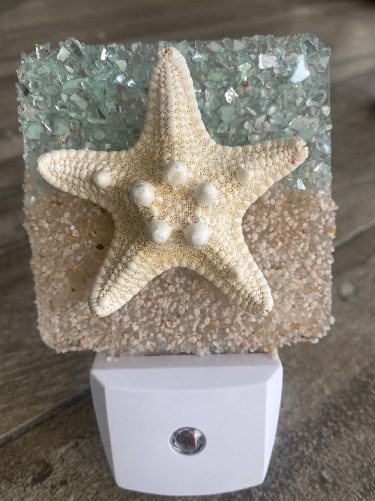 COASTAL Night Light STARFISH