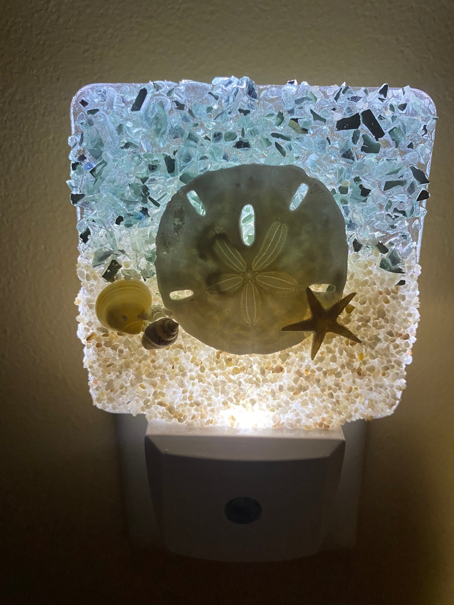 COASTAL Night Light- SAND DOLLAR with seashells