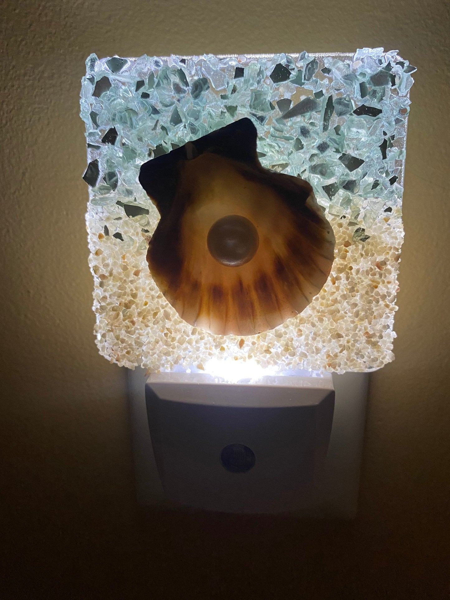 COASTAL Nightlight - SCALLOP SHELL w/pearl